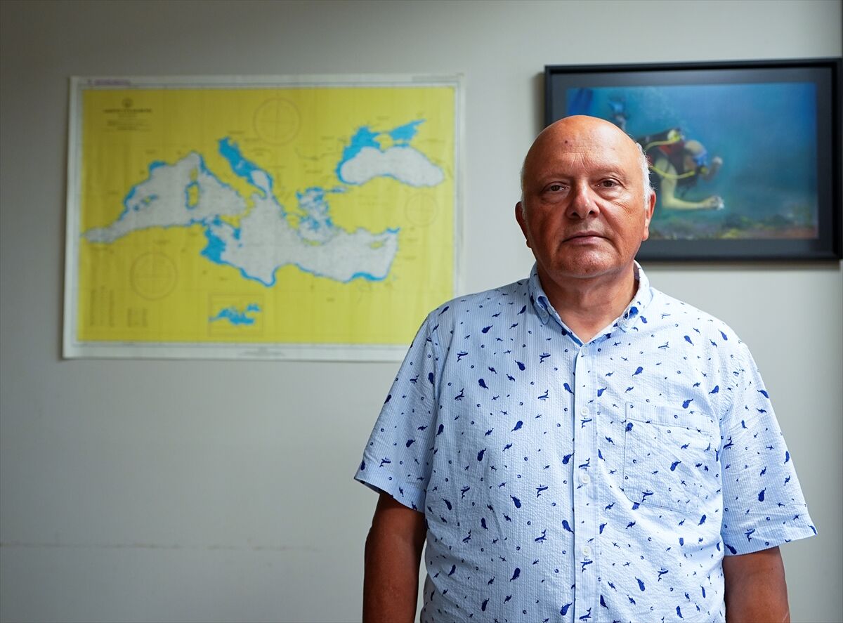 Ege Denizi'nde bugüne kadarki en büyük mercan ormanı keşfedildi