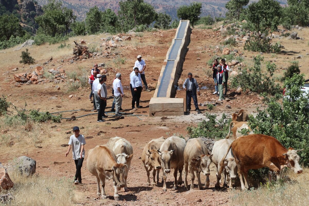Mera ıslah projeleri ile modern şartlarda besicilik yapıyorlar