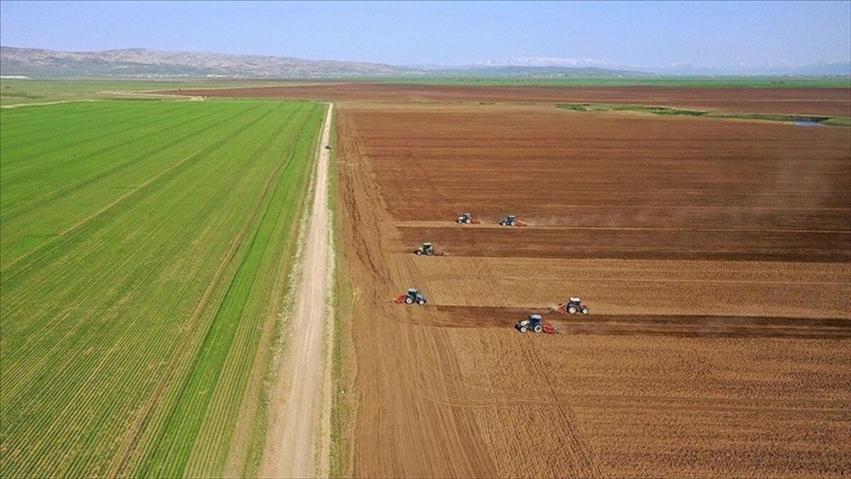 Tarımsal girdi fiyat endeksi haziranda yıllık bazda yüzde 32,06 artarken aylık yüzde 0,92 azaldı