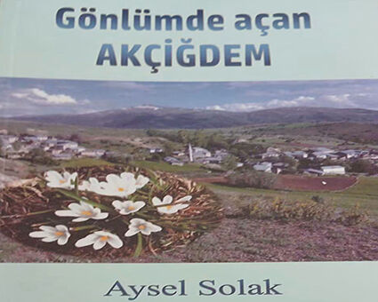 A Y S E L