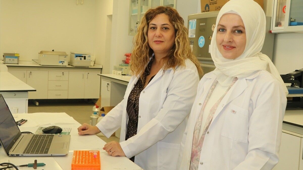 Akademisyenler yumurtalık kanserinin tespitini hızlandıracak test geliştirdi