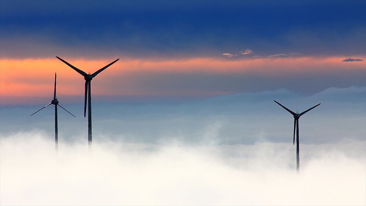 Almanya'da elektrik üretiminde yenilenebilir enerjinin payı rekor seviyeye ulaştı