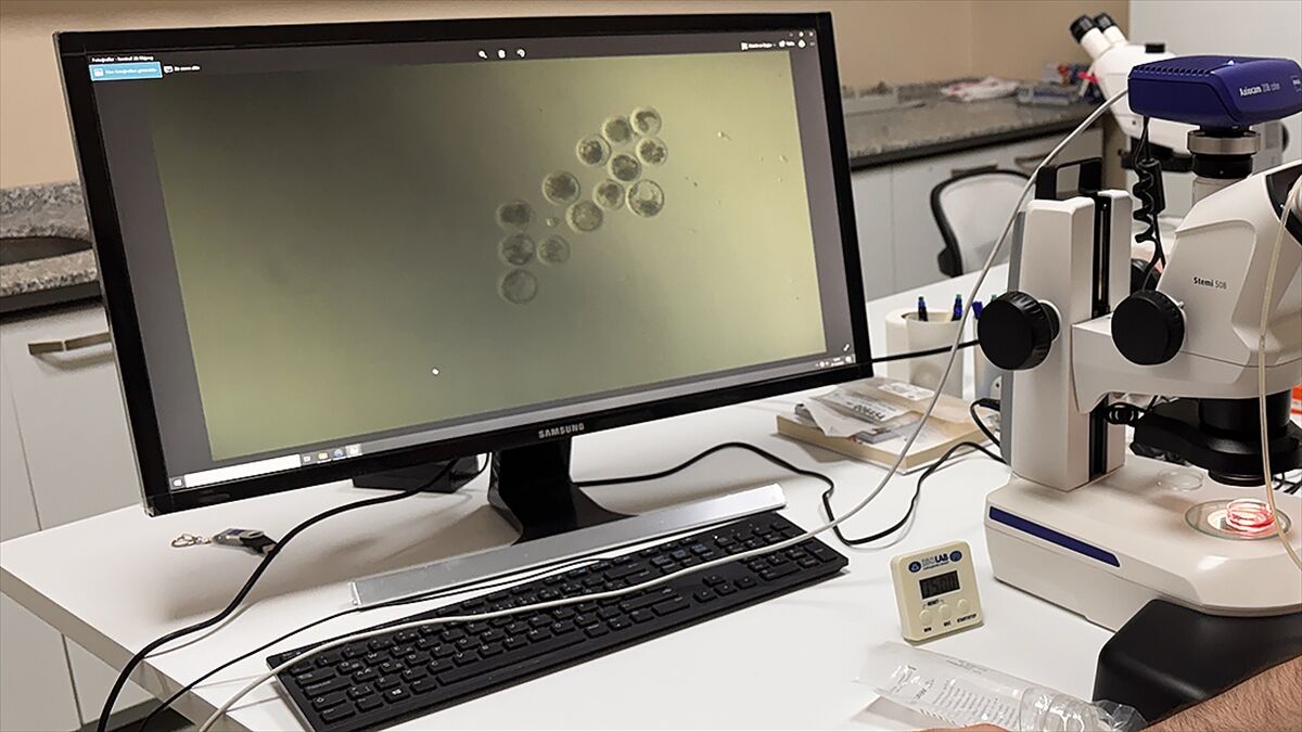 'Beta-laktoglobulin' süt proteini ihracat şartıyla üretilebilecek