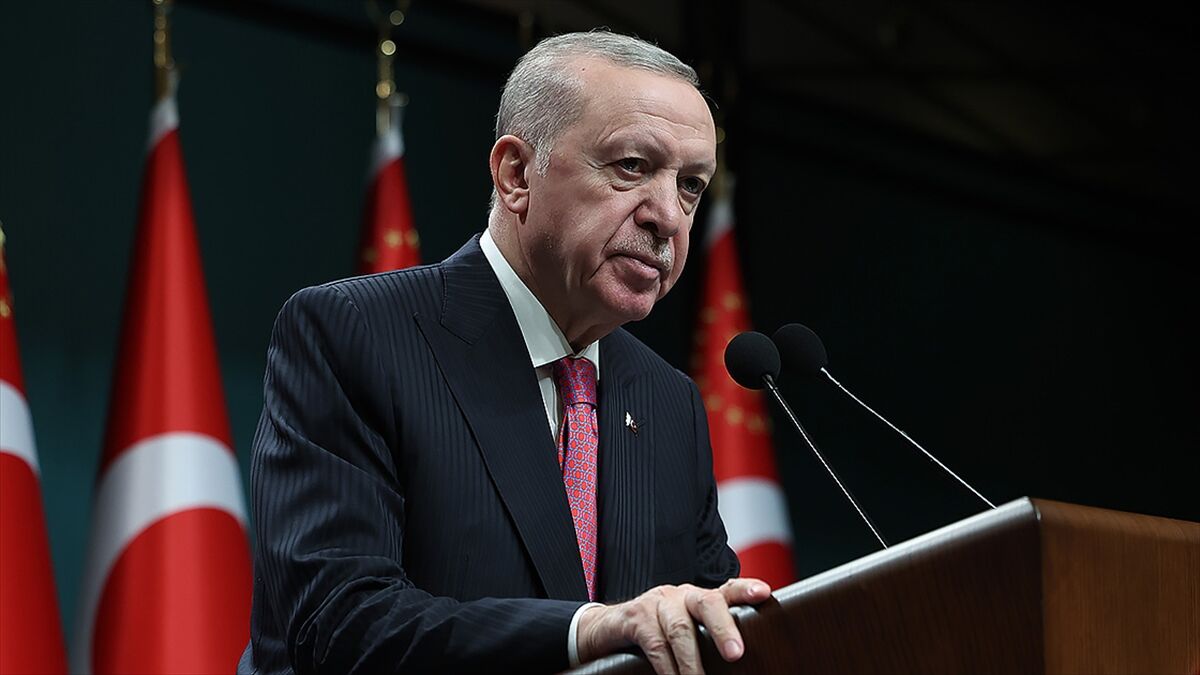 Cumhurbaşkanı Erdoğan'dan Sakarya Zaferi'nin 105. yıl dönümü mesajı