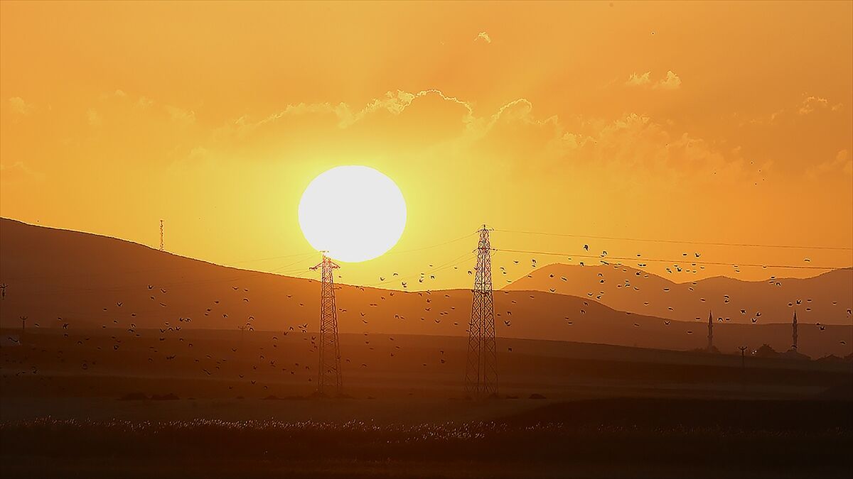 Göçmen kuşların rotası elektrik şebekesindeki önlemleri şekillendiriyor