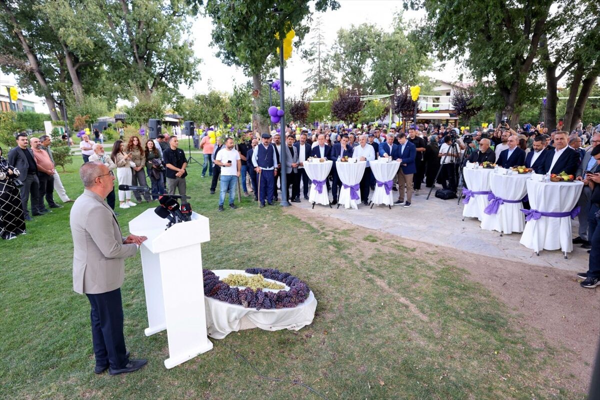 Konya'da bağbozumu ve pekmez kaynatma geleneği yaşatıldı