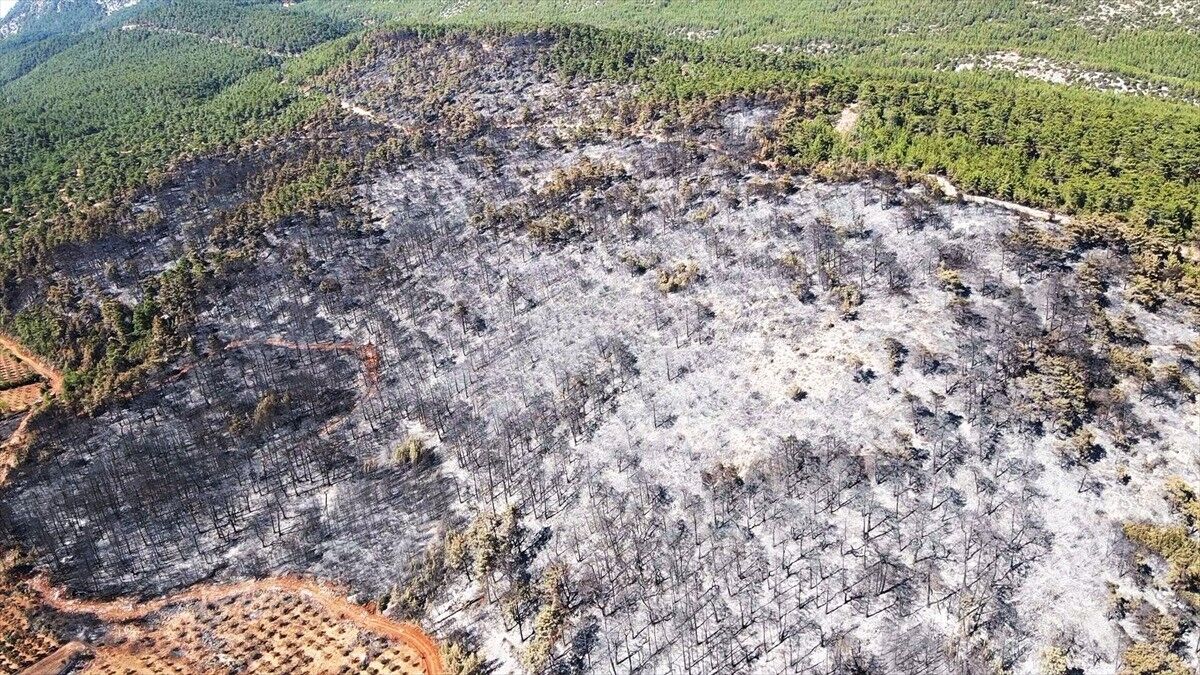 Muğla'da yanan ormanlık alan havadan görüntülendi