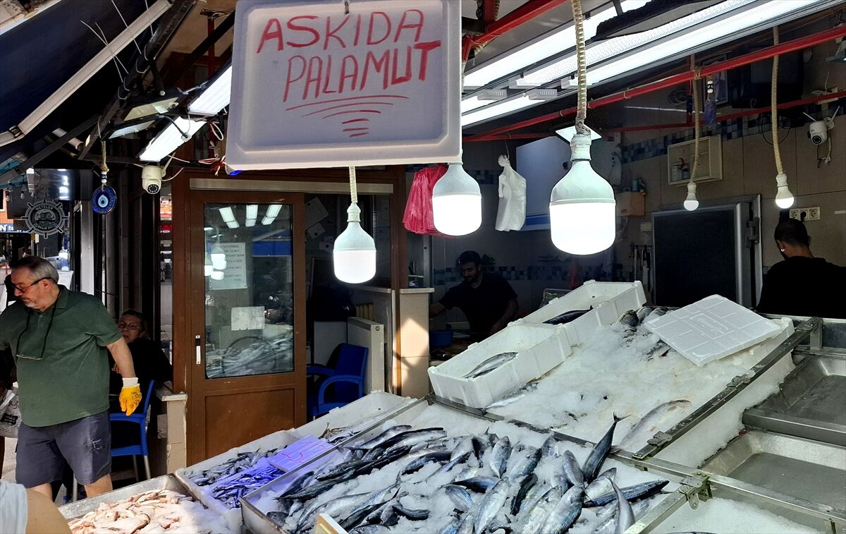 Sinop'ta 'askıda palamut' uygulaması başlatıldı
