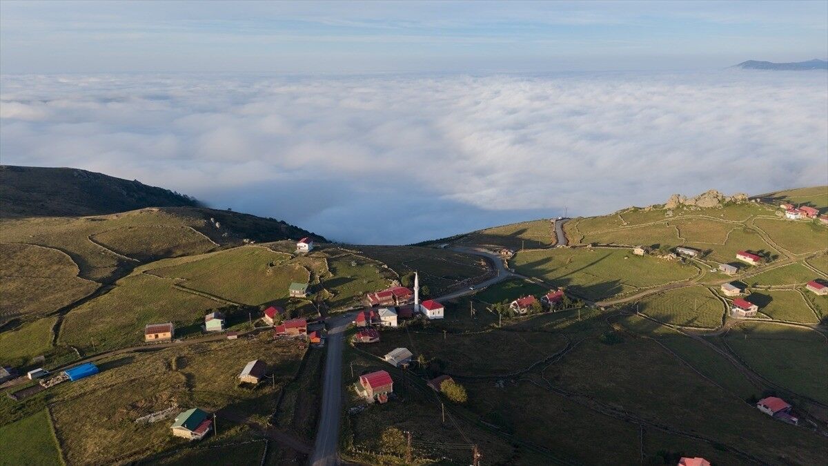 Trabzon'un 'bulutlara komşu' yaylaları sonbahar renklerine bürünüyor