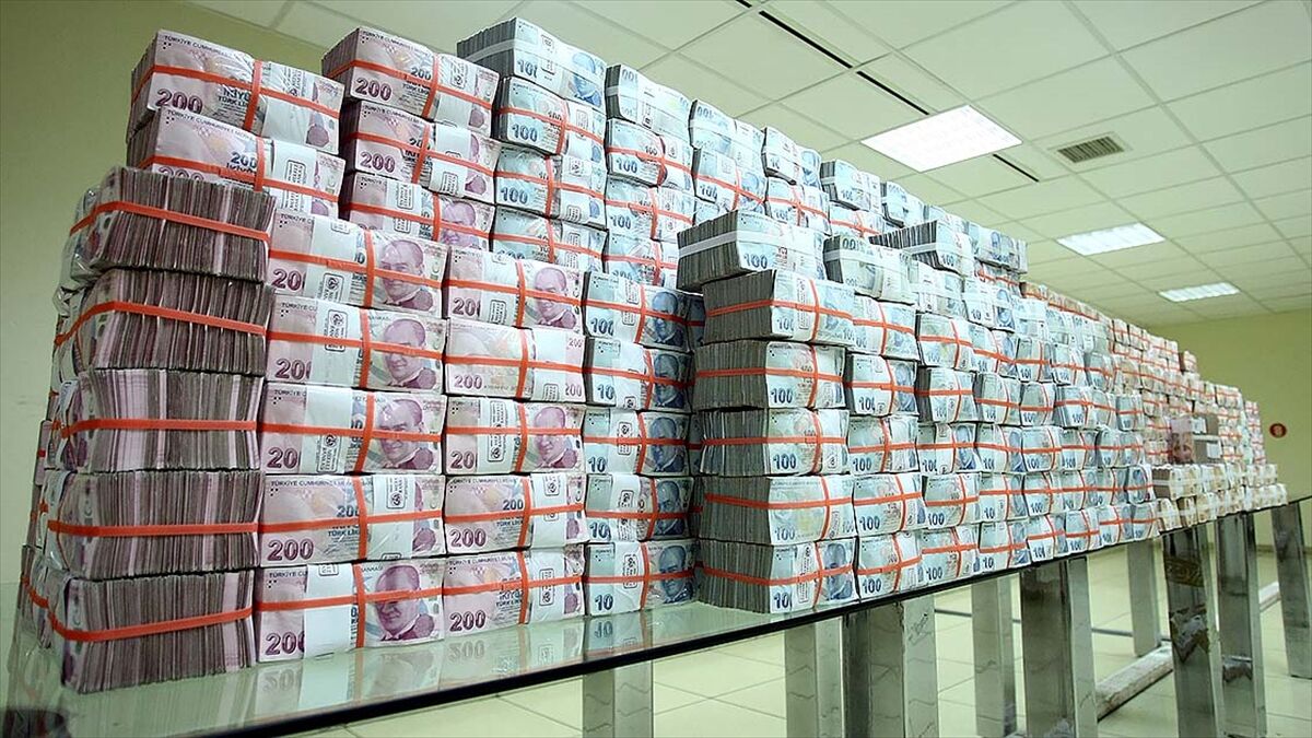 Türk lirası mevduatın payını artırma politikaları sürdürülecek