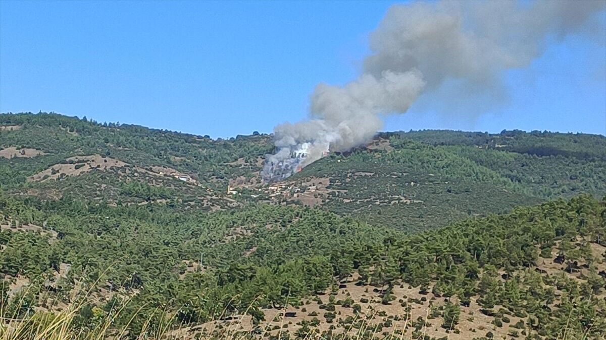 Bursa'da çıkan orman yangınına müdahale ediliyor