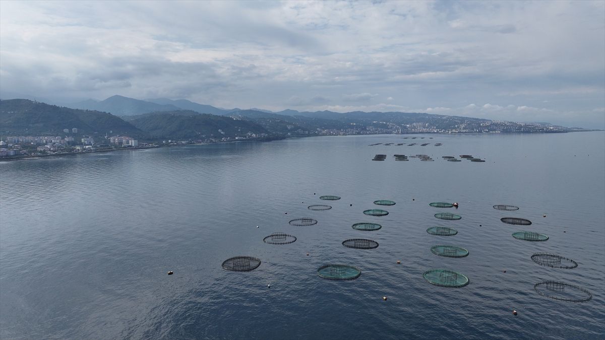 Karadeniz'in su ürünleri ihracatı 9 ayda 322 milyon doları aştı