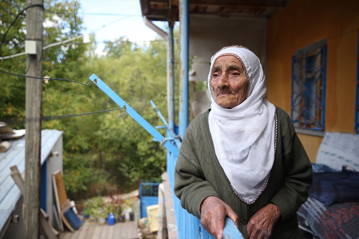 Kayseri'nin asırlık çınarları yıllara meydan okuyor