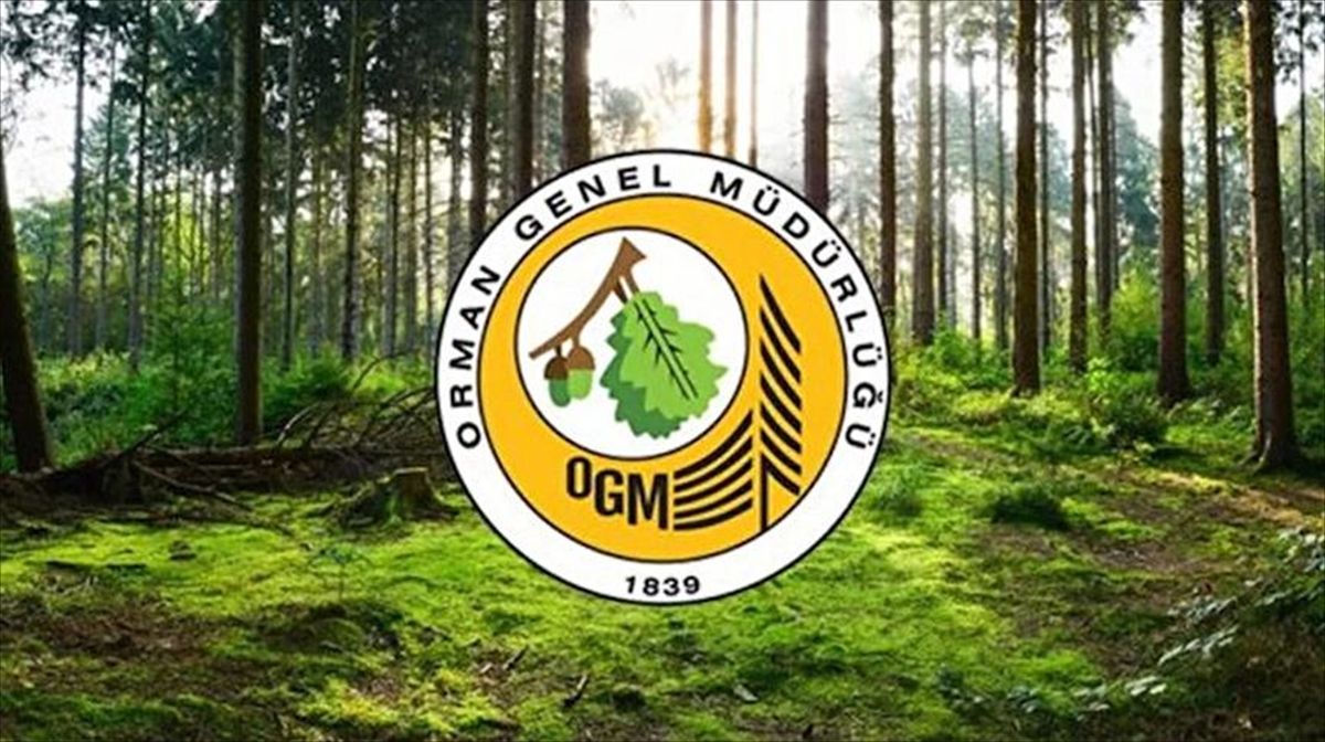 Orman Genel Müdürlüğü 12 müfettiş yardımcısı istihdam edecek